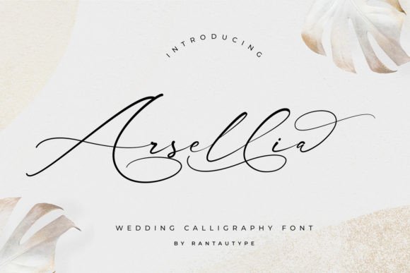 Arsellia: Elevate Your Design Projects with This Versatile Typeface