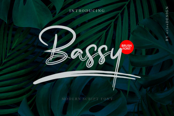 Bassy: A Delicate Script Font for Modern Design