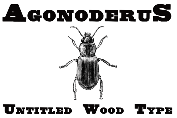 Discovering the Timeless Elegance of Untitled Wood Type