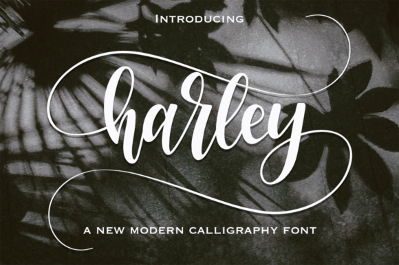 Harley: A Modern Calligraphy Font with Natural Charm