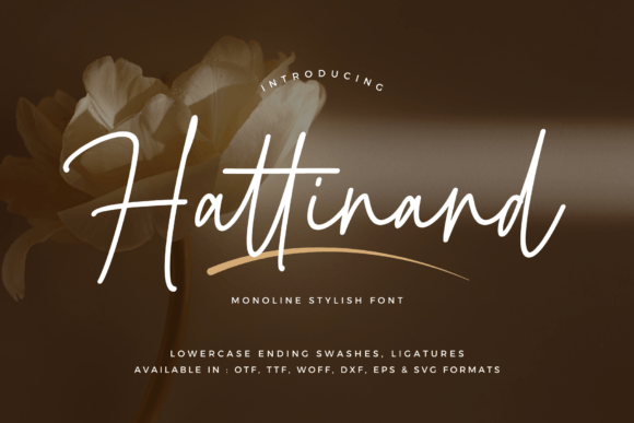 Hattinand: A Sleek Monoline Script Font for Elegant Design
